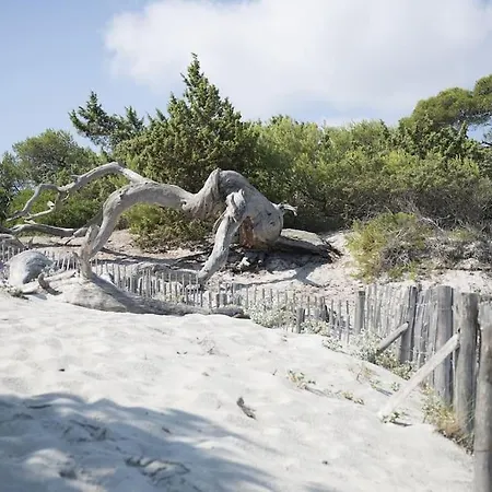 Apartamento Terrasse St Florent *