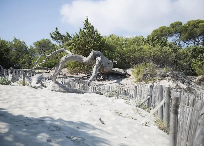 Apartamento Terrasse St Florent *