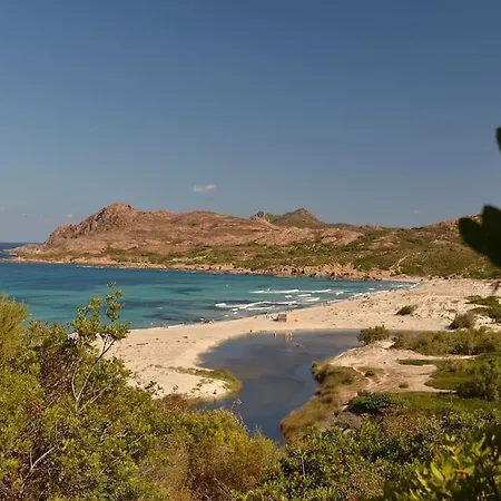 Apartment Terrasse St Florent